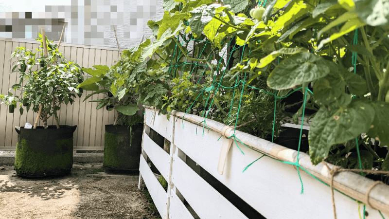 約1坪の庭にプランターを並べた様子